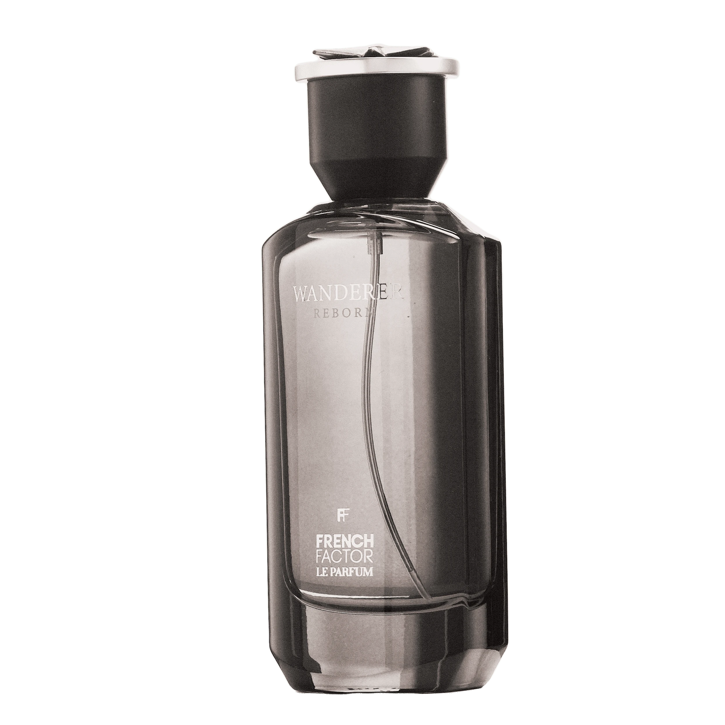 REBORN Video - French Factor