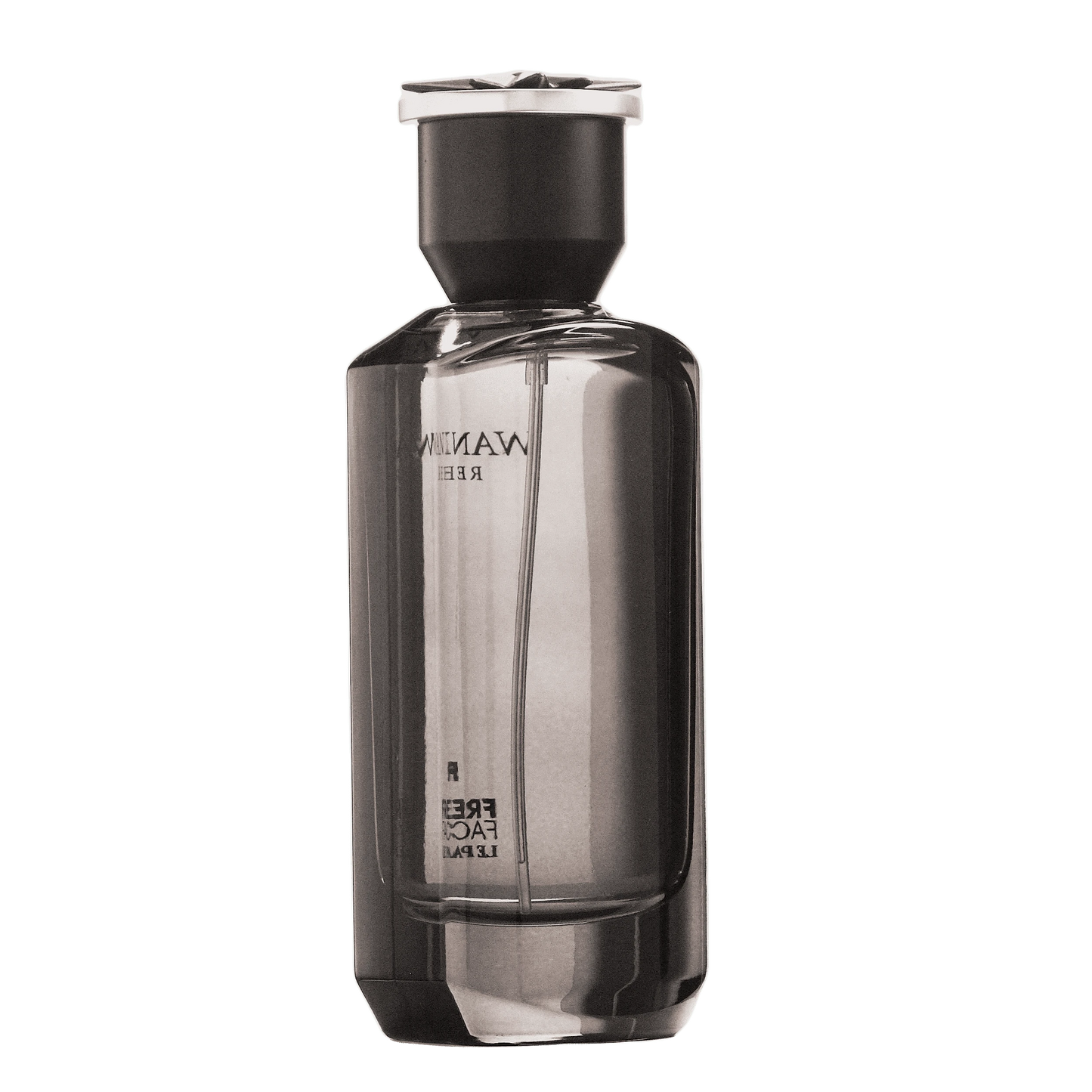 REBORN Video - French Factor