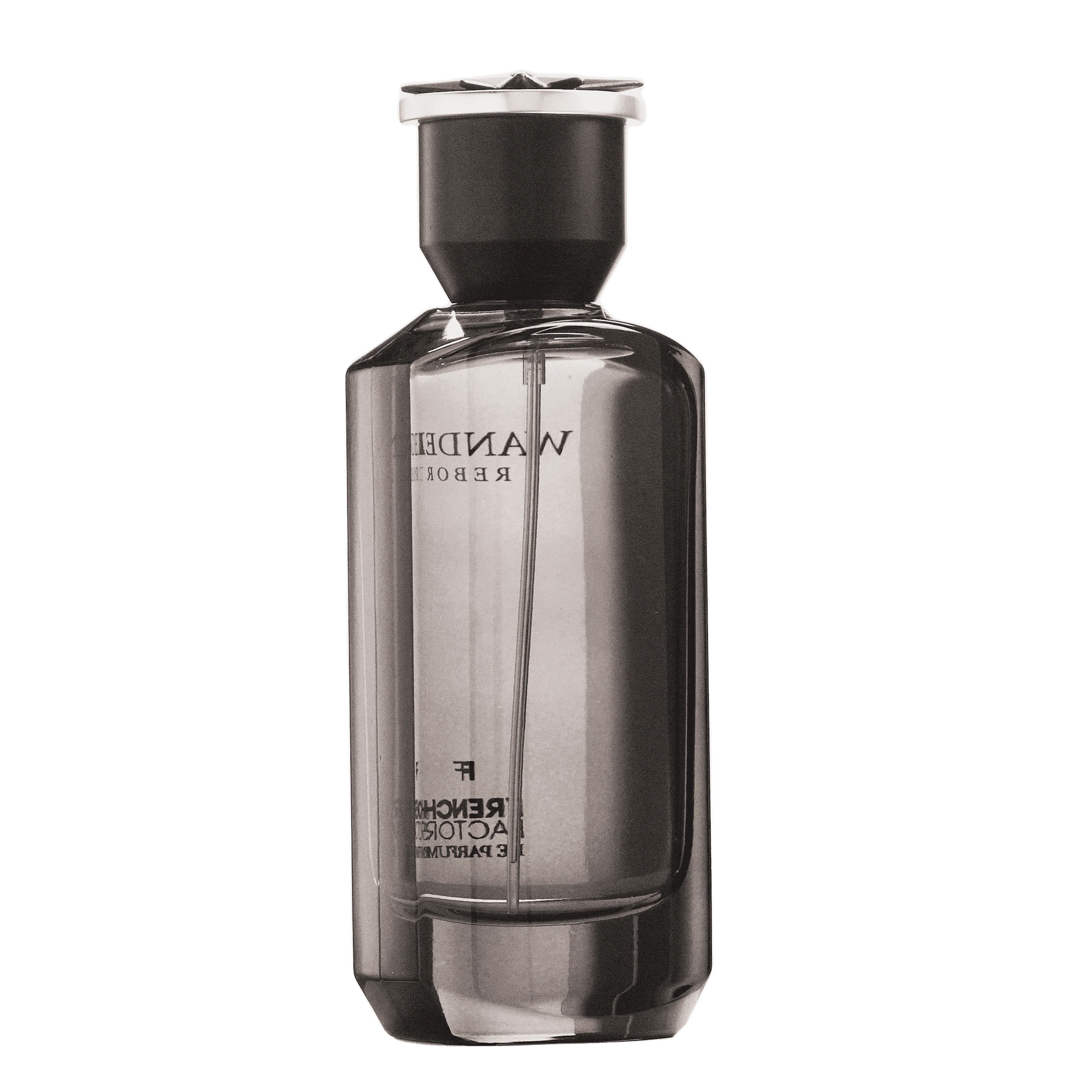 REBORN Video - French Factor