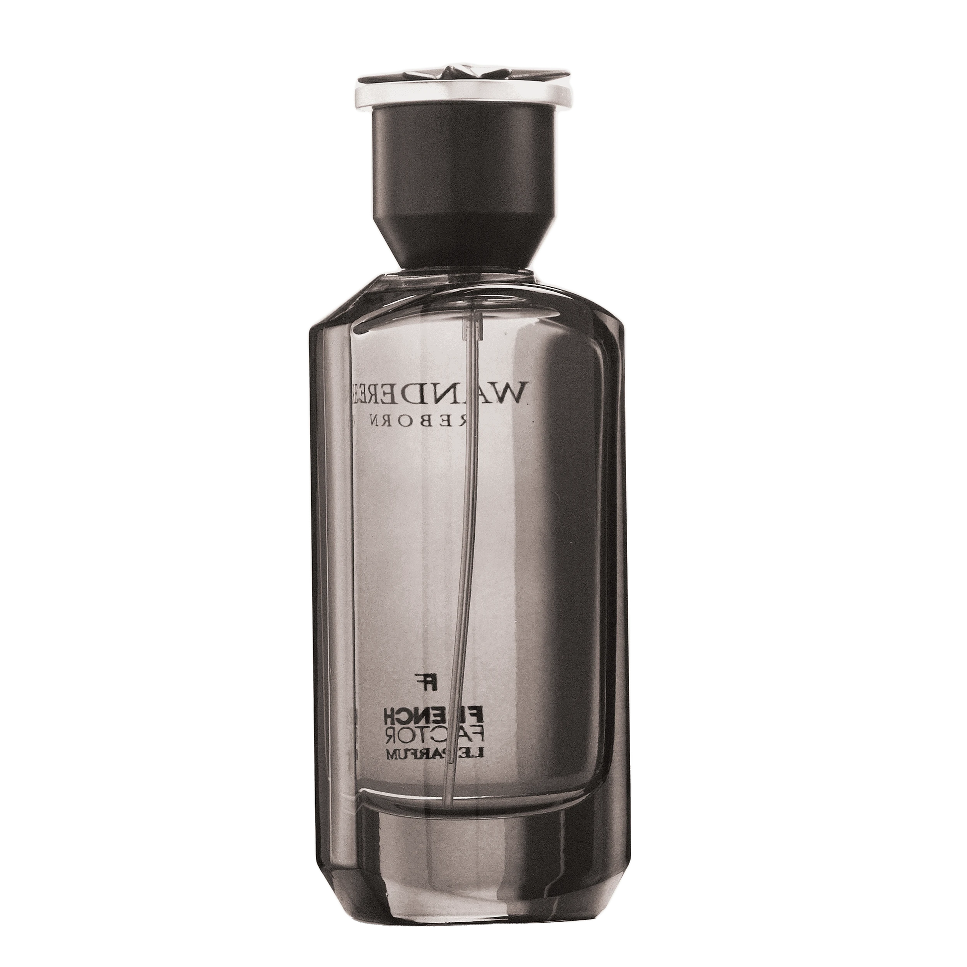 REBORN Video - French Factor