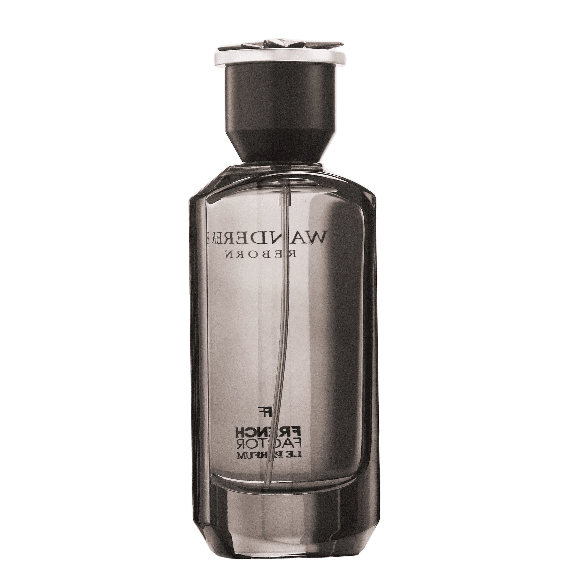 REBORN Video - French Factor